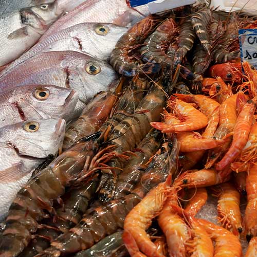 tienda-mariscos-martos