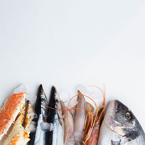 pescaderia-urena-lujano-martos